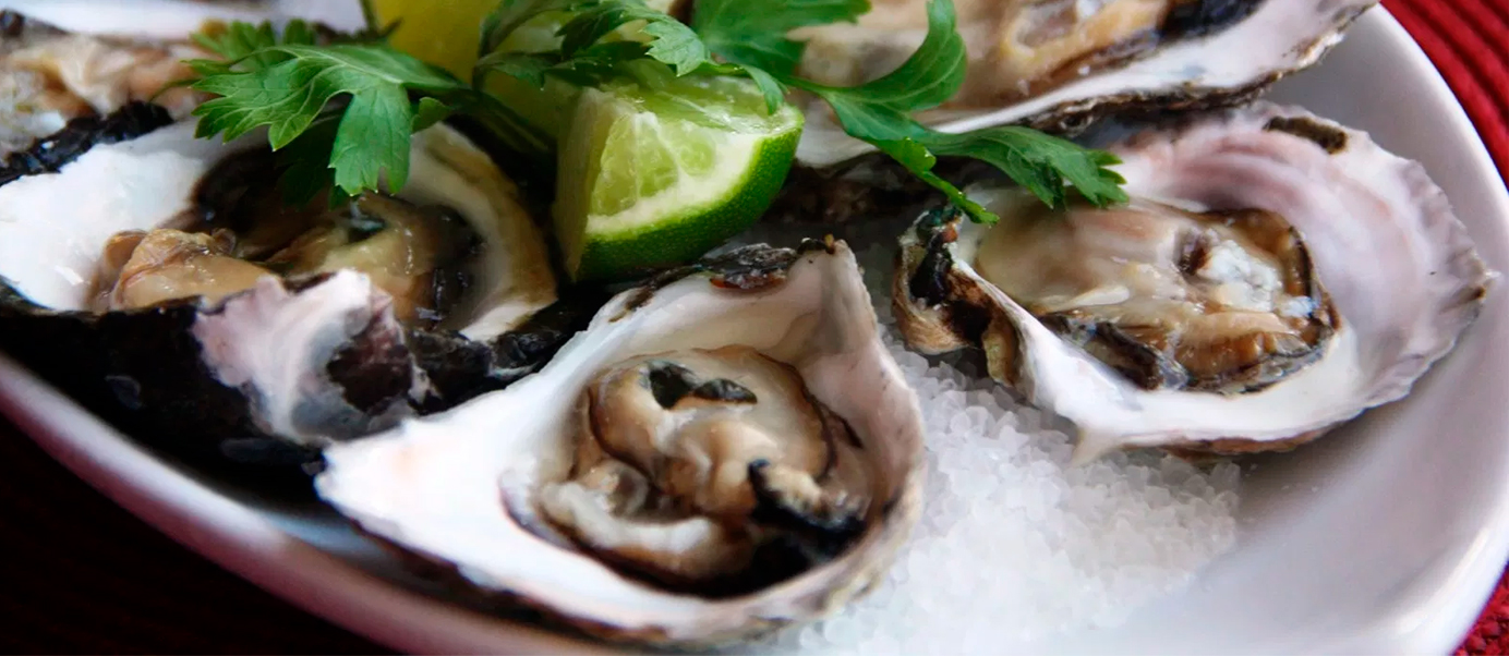 Matéria do blog | Vila Palatéia: encontro com as ostras e a Mata Atlântica