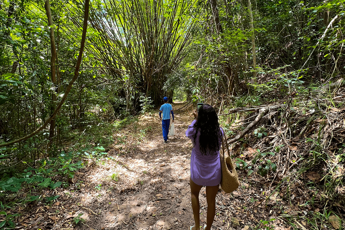 Trilha ecológica